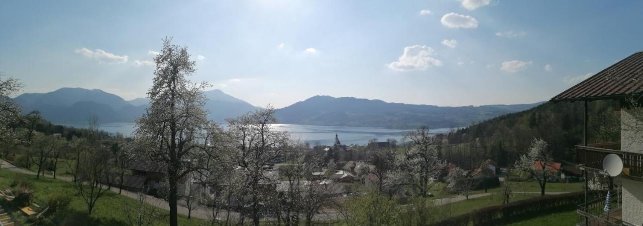 Attersee-Chalet Angermann Familie Spalt Steinbach am Attersee Ngoại thất bức ảnh