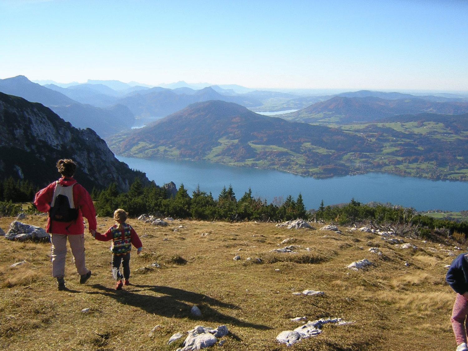Attersee-Chalet Angermann Familie Spalt Steinbach am Attersee Ngoại thất bức ảnh