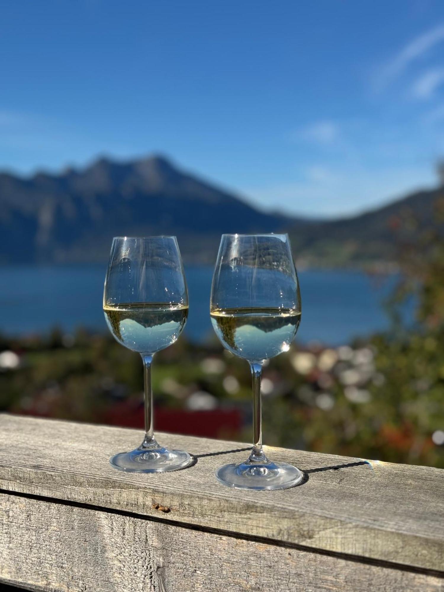 Attersee-Chalet Angermann Familie Spalt Steinbach am Attersee Ngoại thất bức ảnh