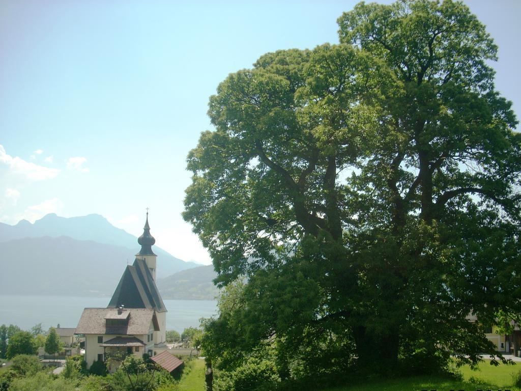 Attersee-Chalet Angermann Familie Spalt Steinbach am Attersee Ngoại thất bức ảnh