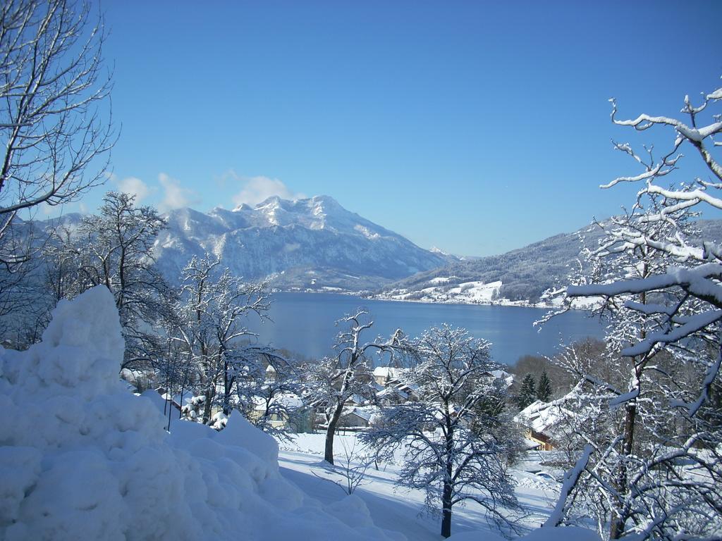 Attersee-Chalet Angermann Familie Spalt Steinbach am Attersee Ngoại thất bức ảnh
